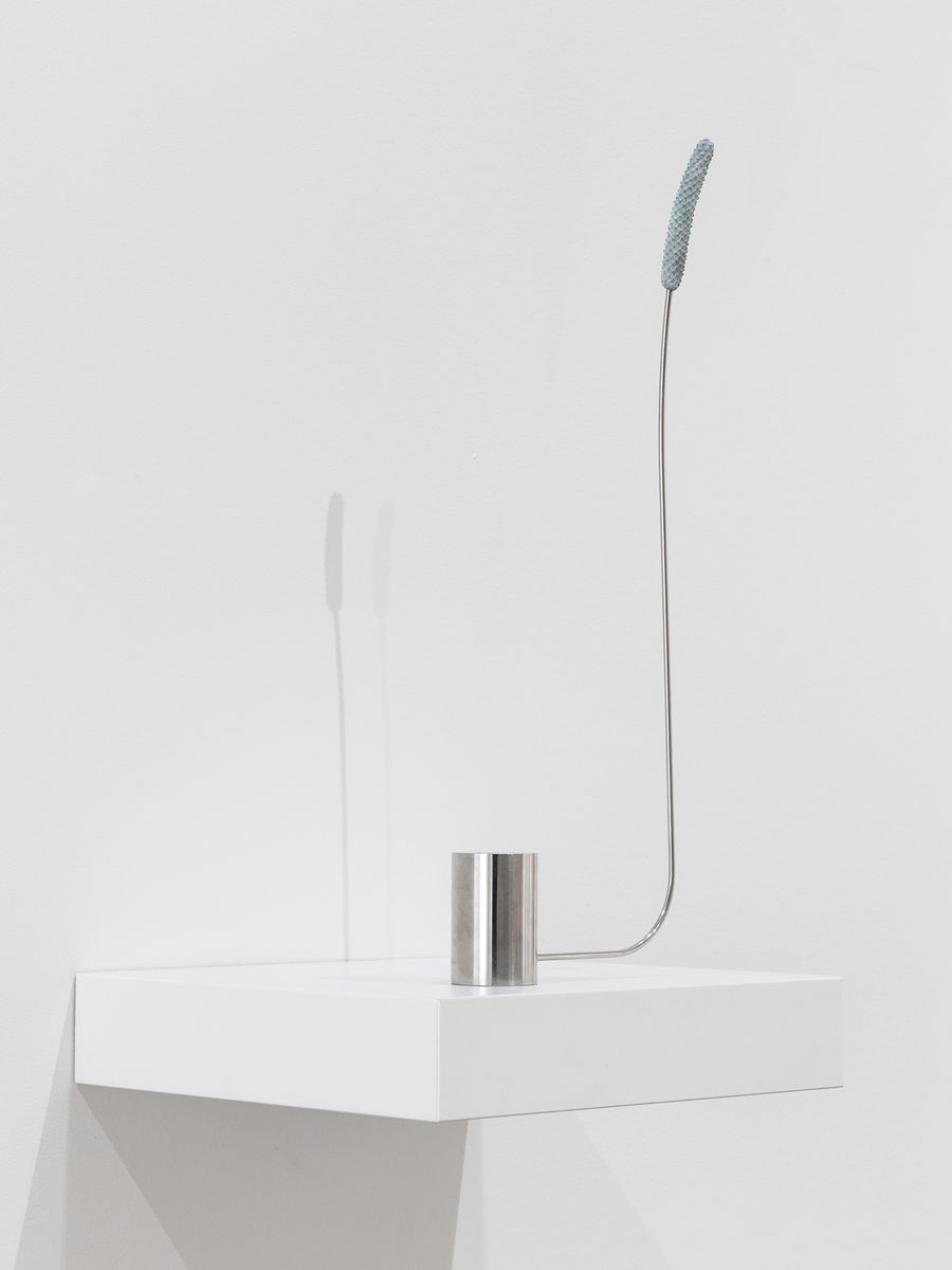 Alex Chitty; Tabled (I); 2021
