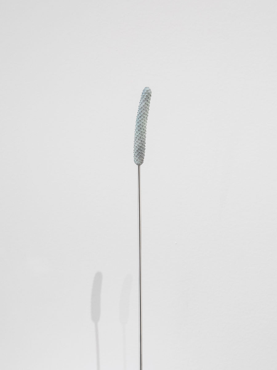 Alex Chitty; Tabled (I); 2021