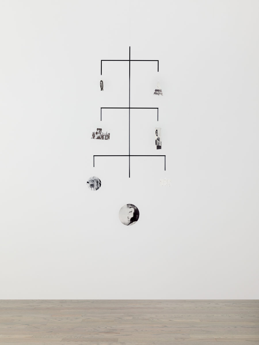 Carmen Winant; Portrait of My Spinal Column and Central Nervous System; 2021