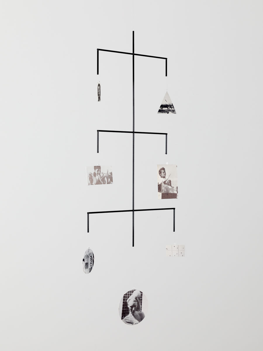 Carmen Winant; Portrait of My Spinal Column and Central Nervous System; 2021