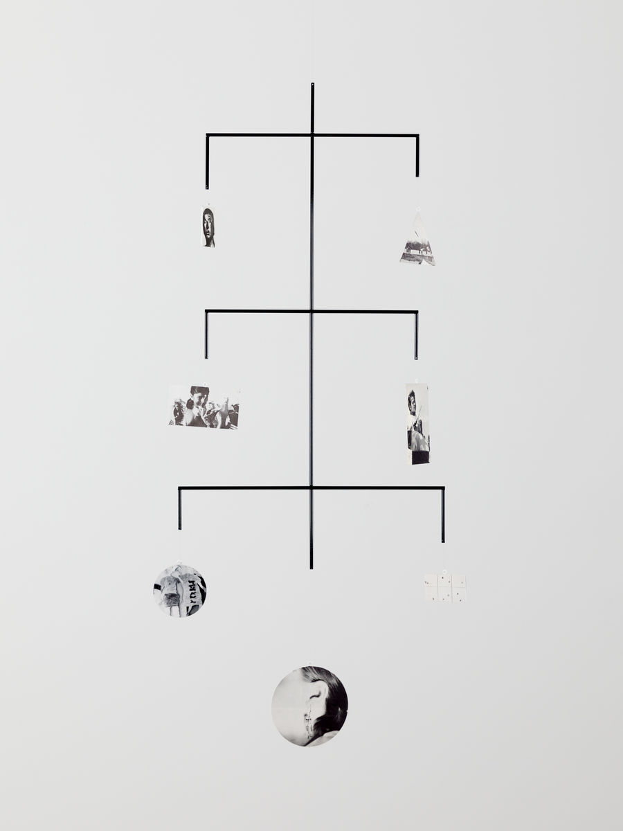 Carmen Winant; Portrait of My Spinal Column and Central Nervous System; 2021