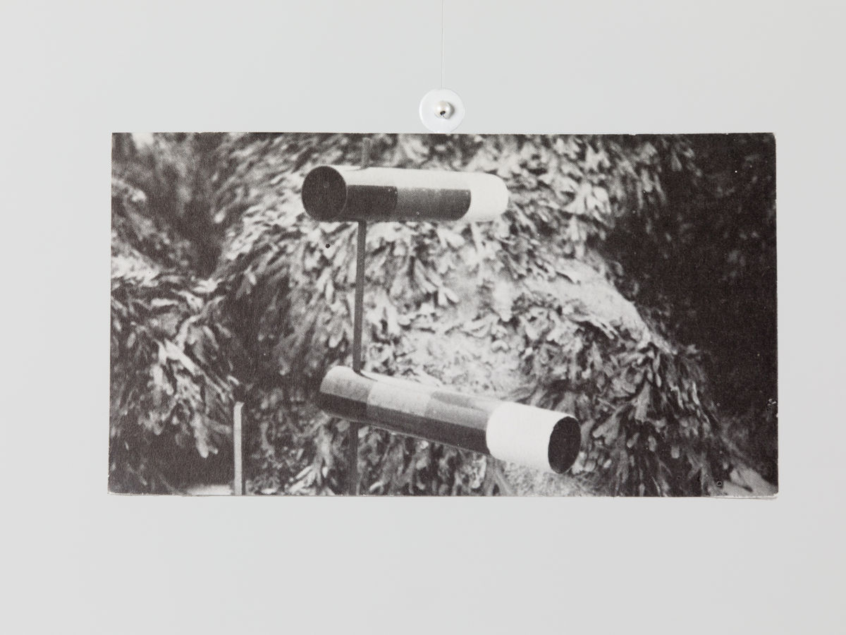 Carmen Winant; Portrait of My Spinal Column and Central Nervous System; 2021