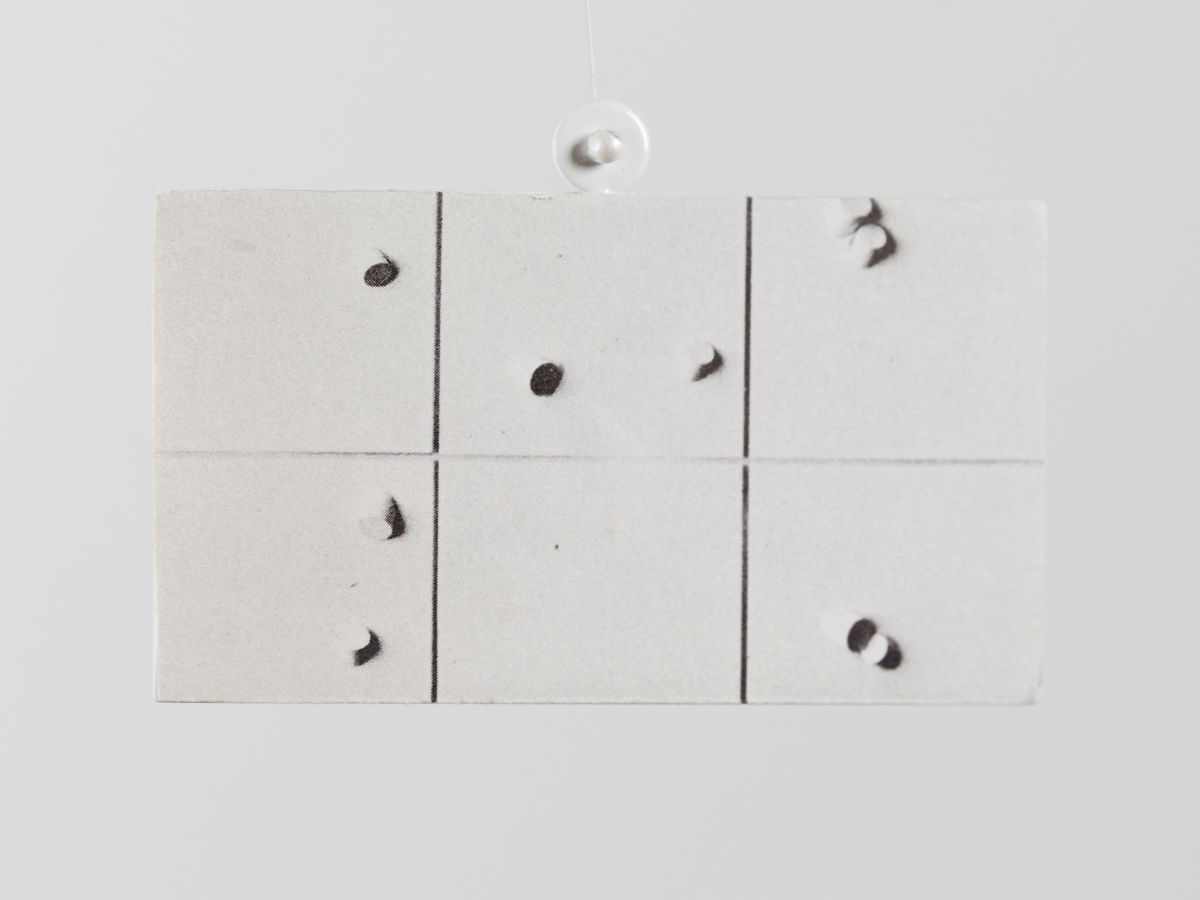 Carmen Winant; Portrait of My Spinal Column and Central Nervous System; 2021