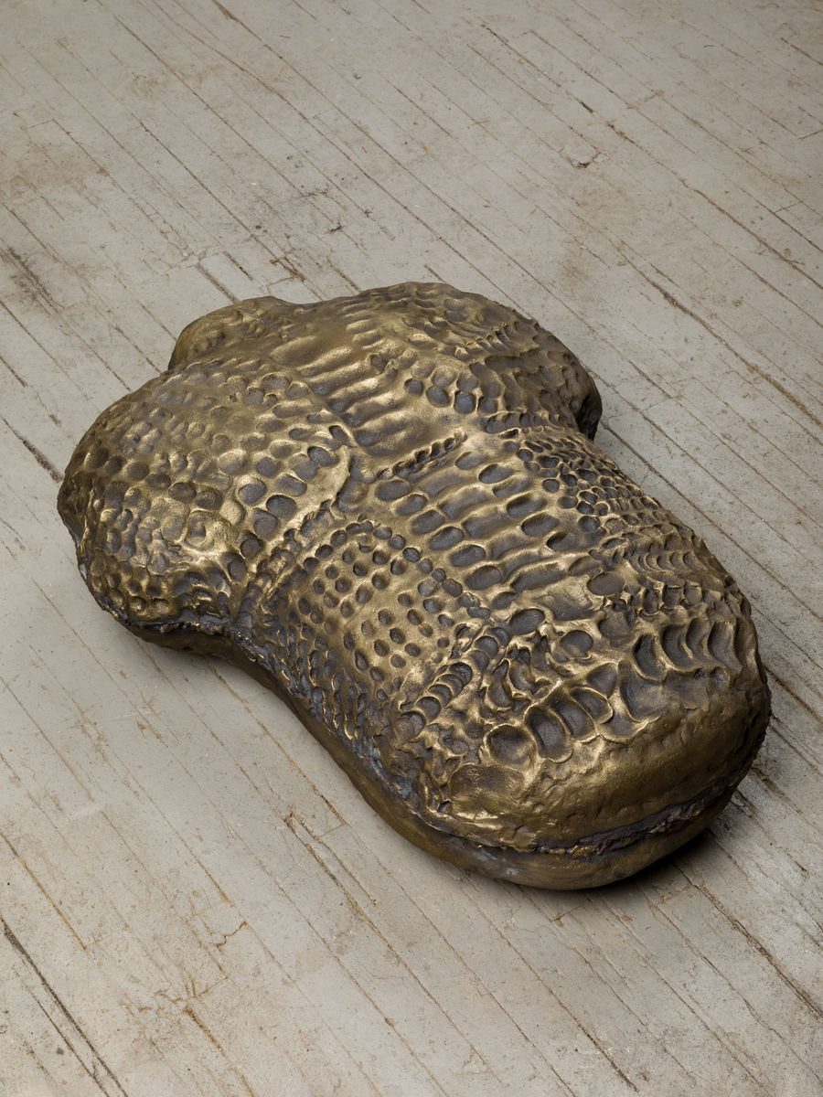 Soo Shin; Imprints No. 1 (Woman in Wisconsin); 2021