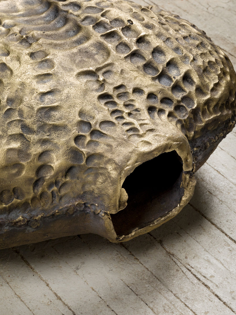 Soo Shin; Imprints No. 1 (Woman in Wisconsin); 2021