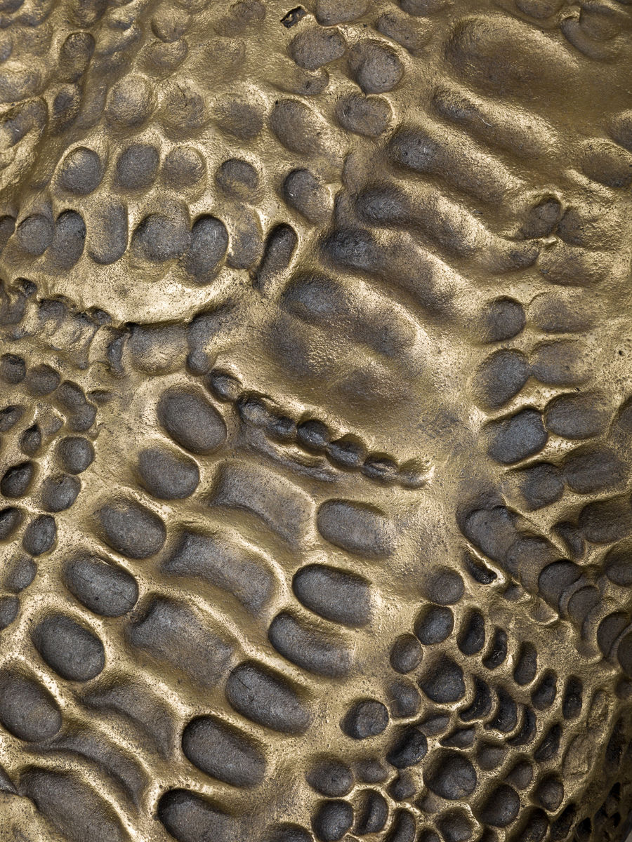 Soo Shin; Imprints No. 1 (Woman in Wisconsin); 2021