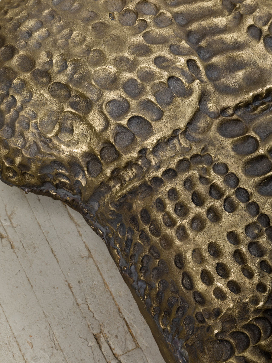 Soo Shin; Imprints No. 1 (Woman in Wisconsin); 2021
