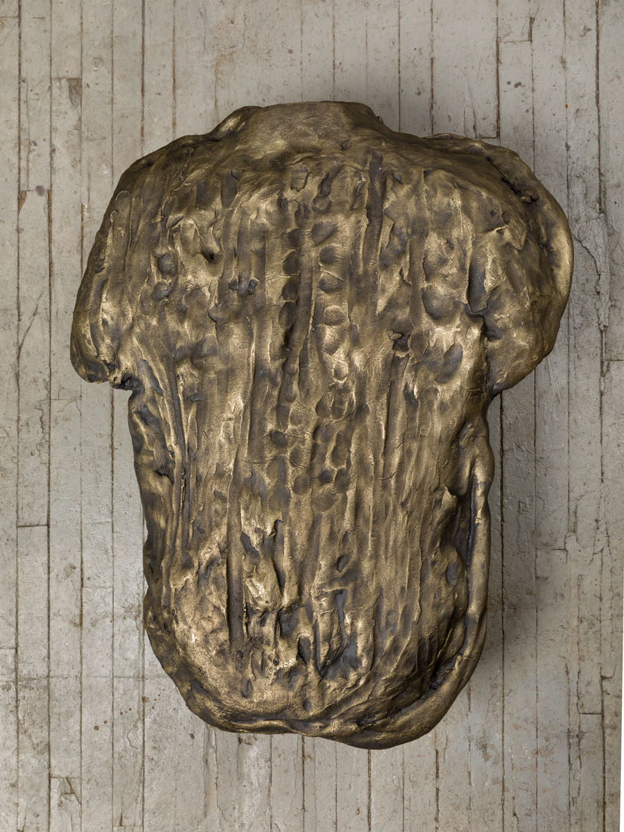 Soo Shin; Imprints No. 2 (Woman in Illinois); 2021