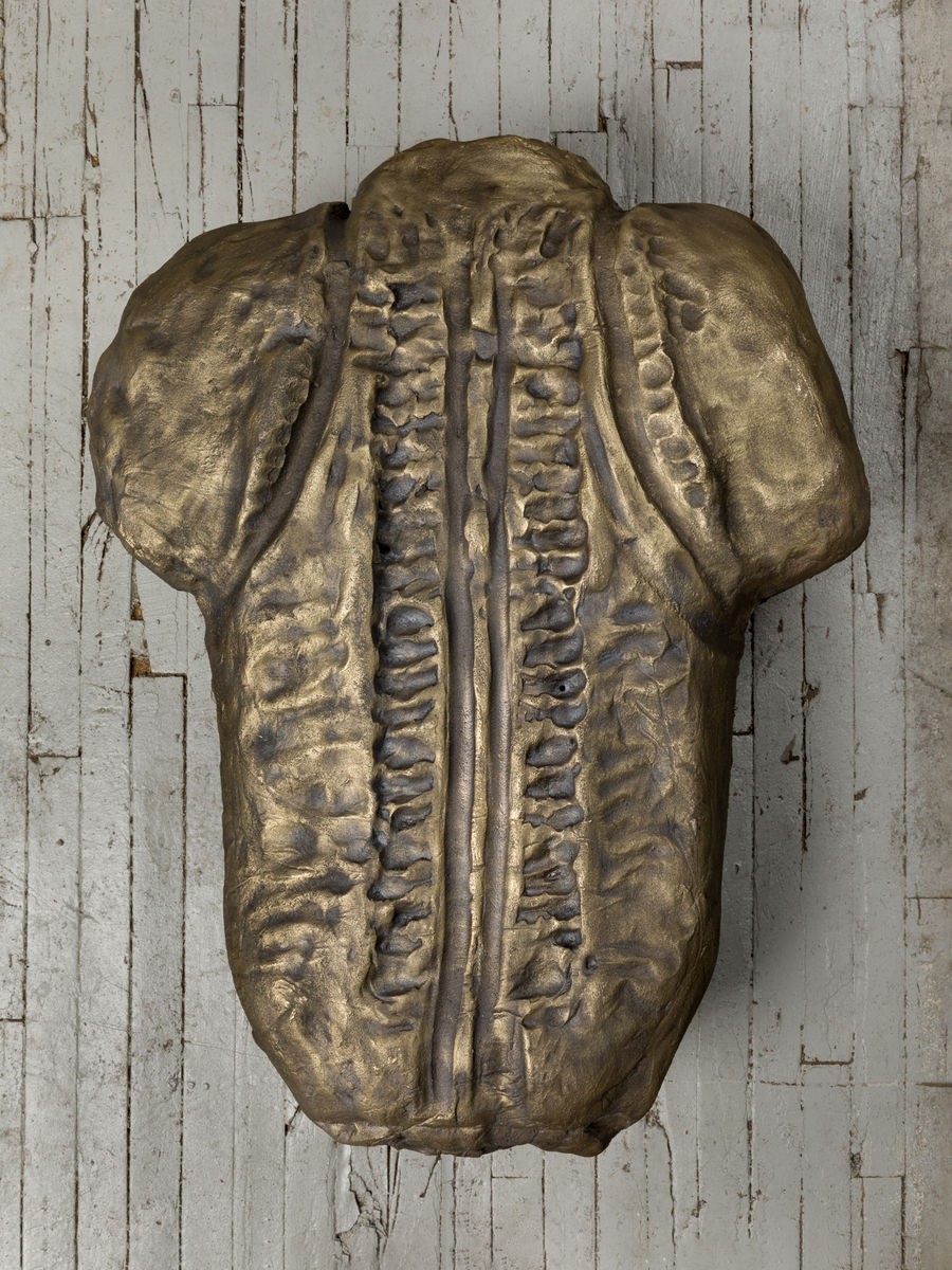 Soo Shin; Imprints No. 3 (Woman in Illinois); 2021