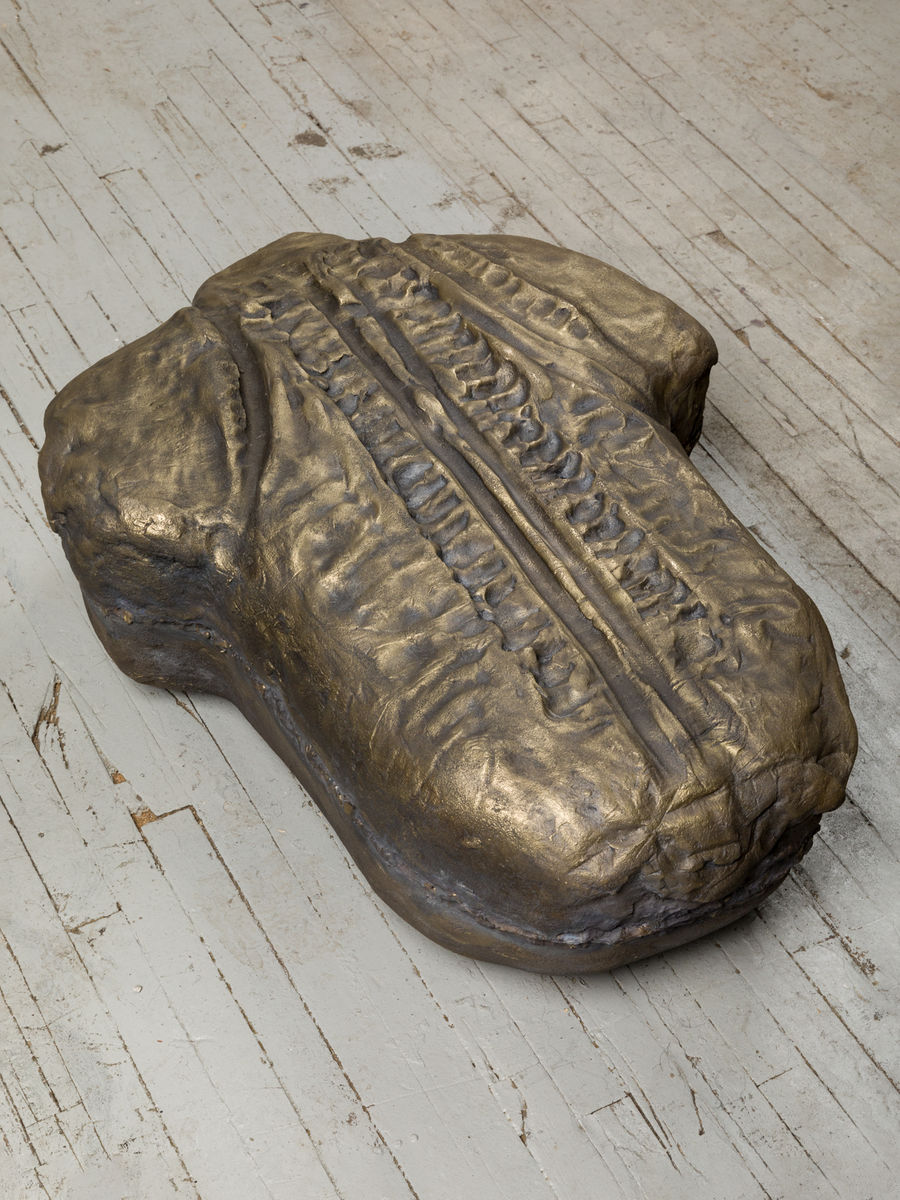 Soo Shin; Imprints No. 3 (Woman in Illinois); 2021