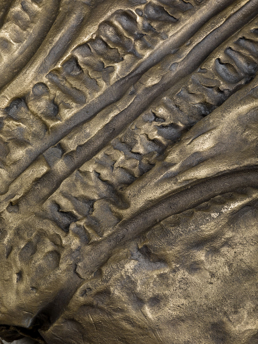 Soo Shin; Imprints No. 3 (Woman in Illinois); 2021