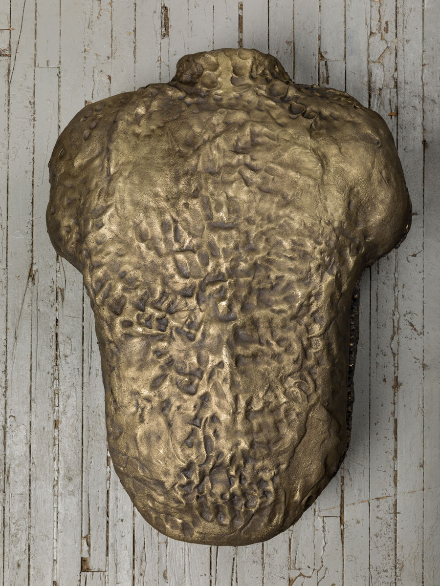 Soo Shin; Imprints No. 4 (Woman in Wisconsin); 2021