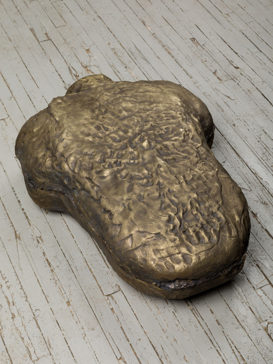 Soo Shin; Imprints No. 4 (Woman in Wisconsin); 2021