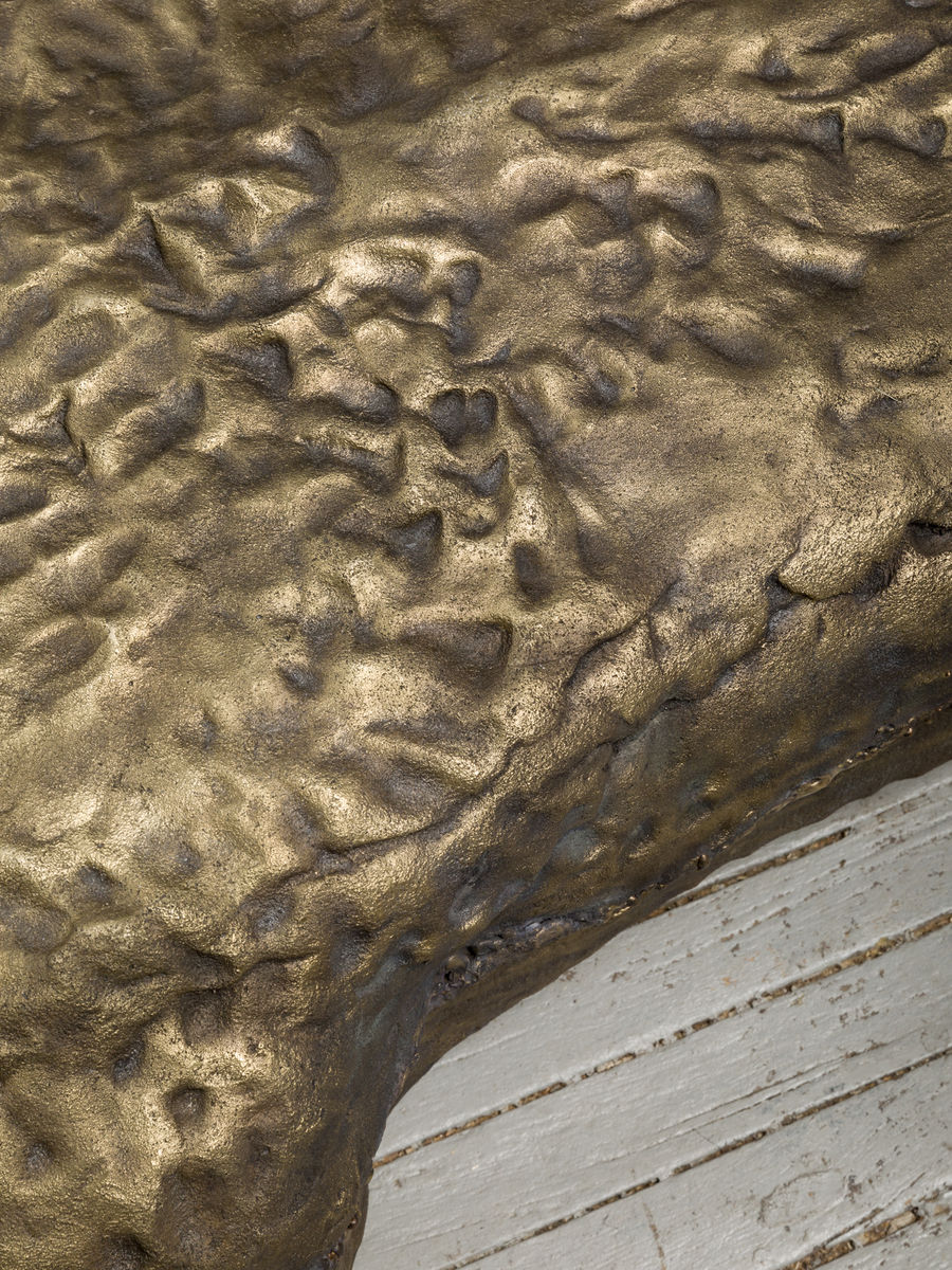 Soo Shin; Imprints No. 4 (Woman in Wisconsin); 2021