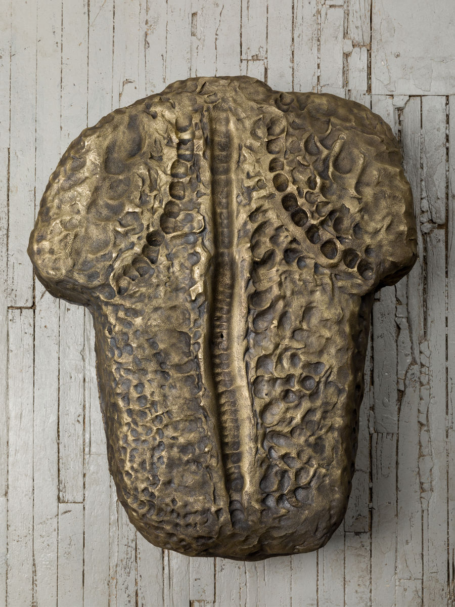 Soo Shin; Imprints No. 5 (Woman in Illinois); 2021