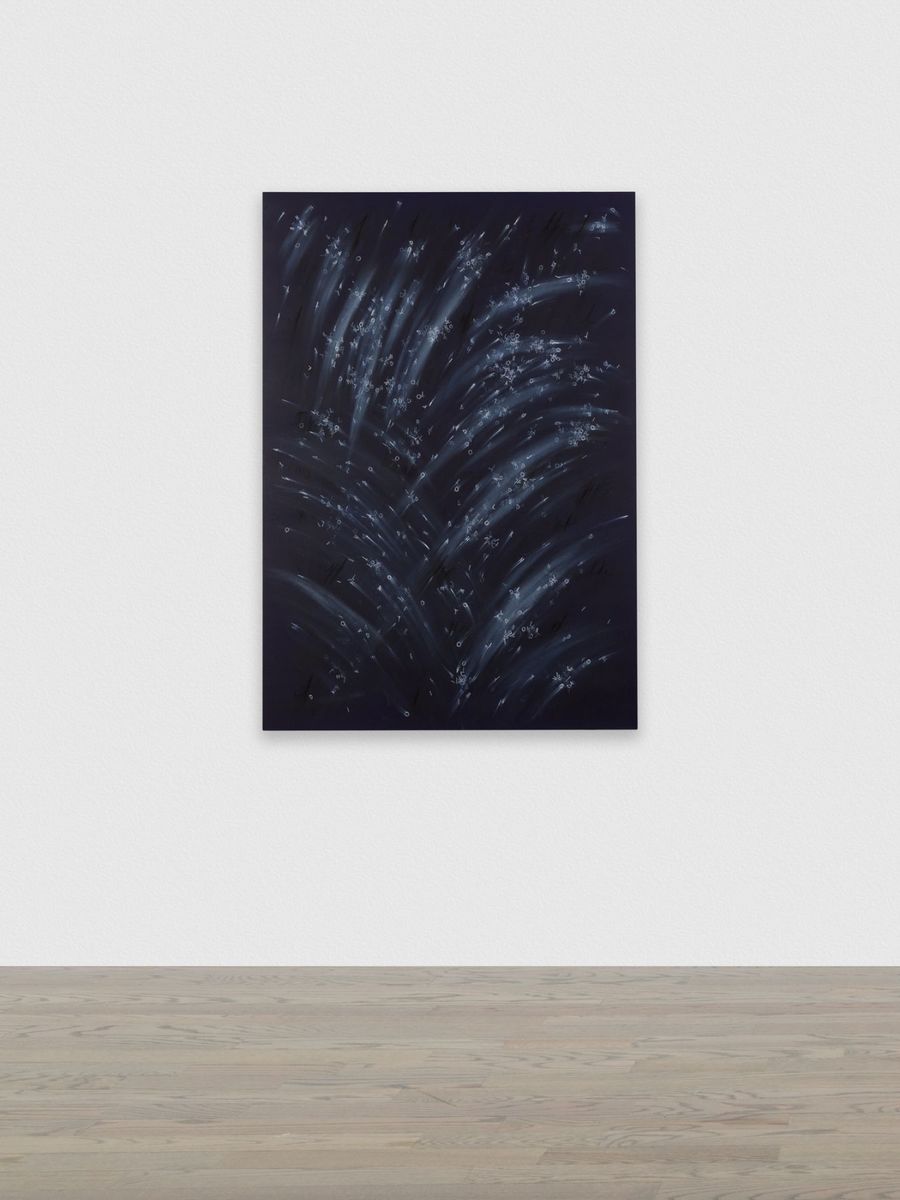 Bethany Collins; Land of the tyrant The Star Spangled Banner Series; 2022