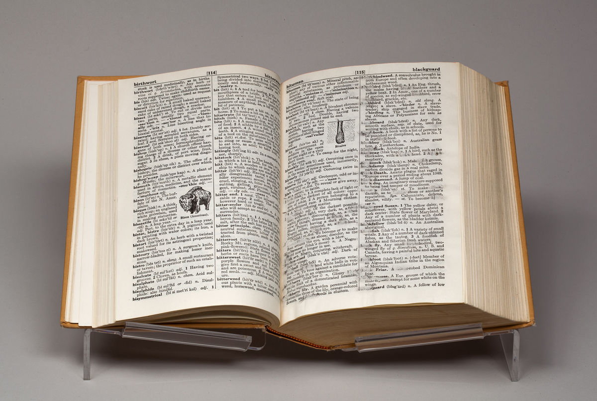 Bethany Collins; Black and Blue Dictionar; 2014