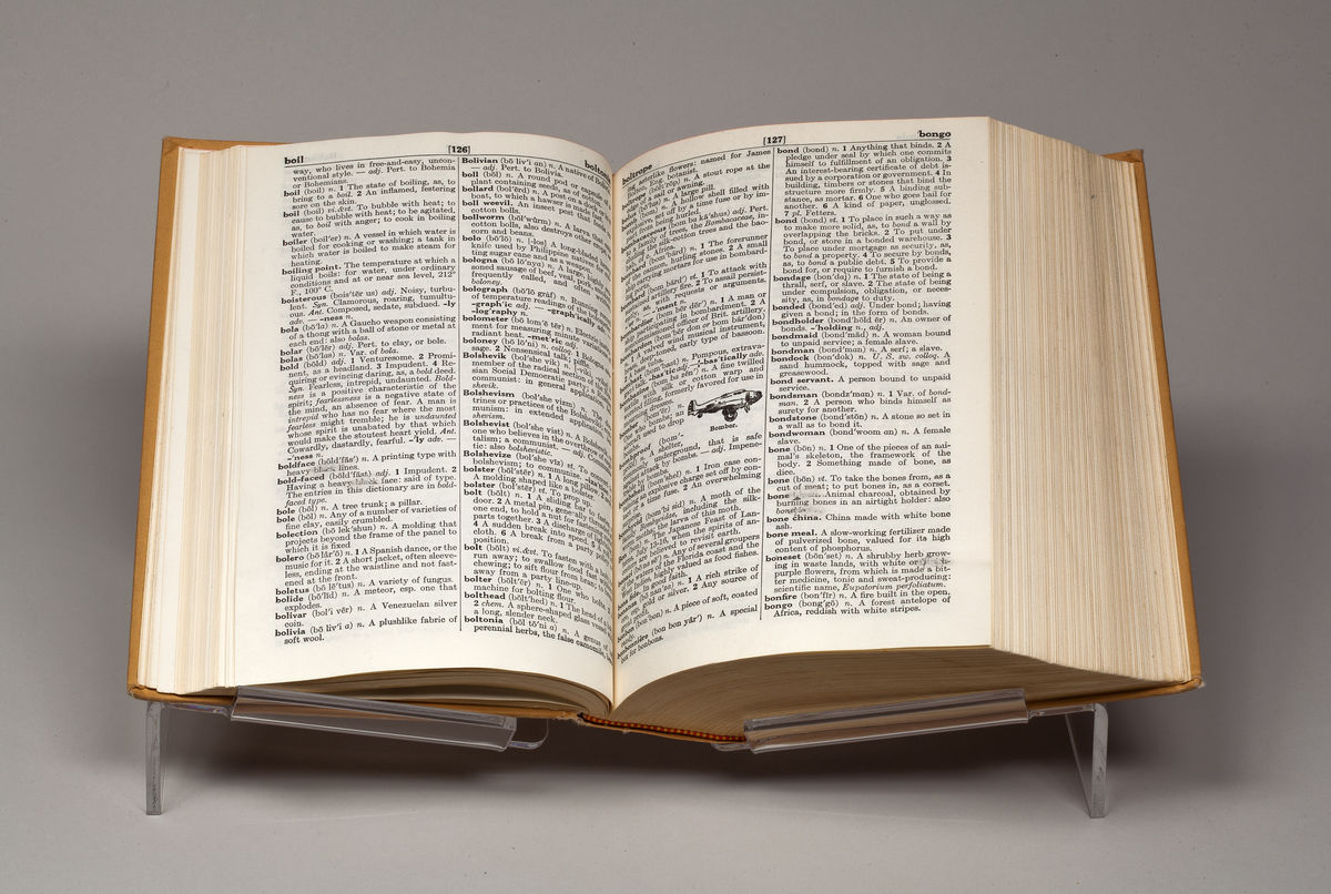 Bethany Collins; Black and Blue Dictionar; 2014
