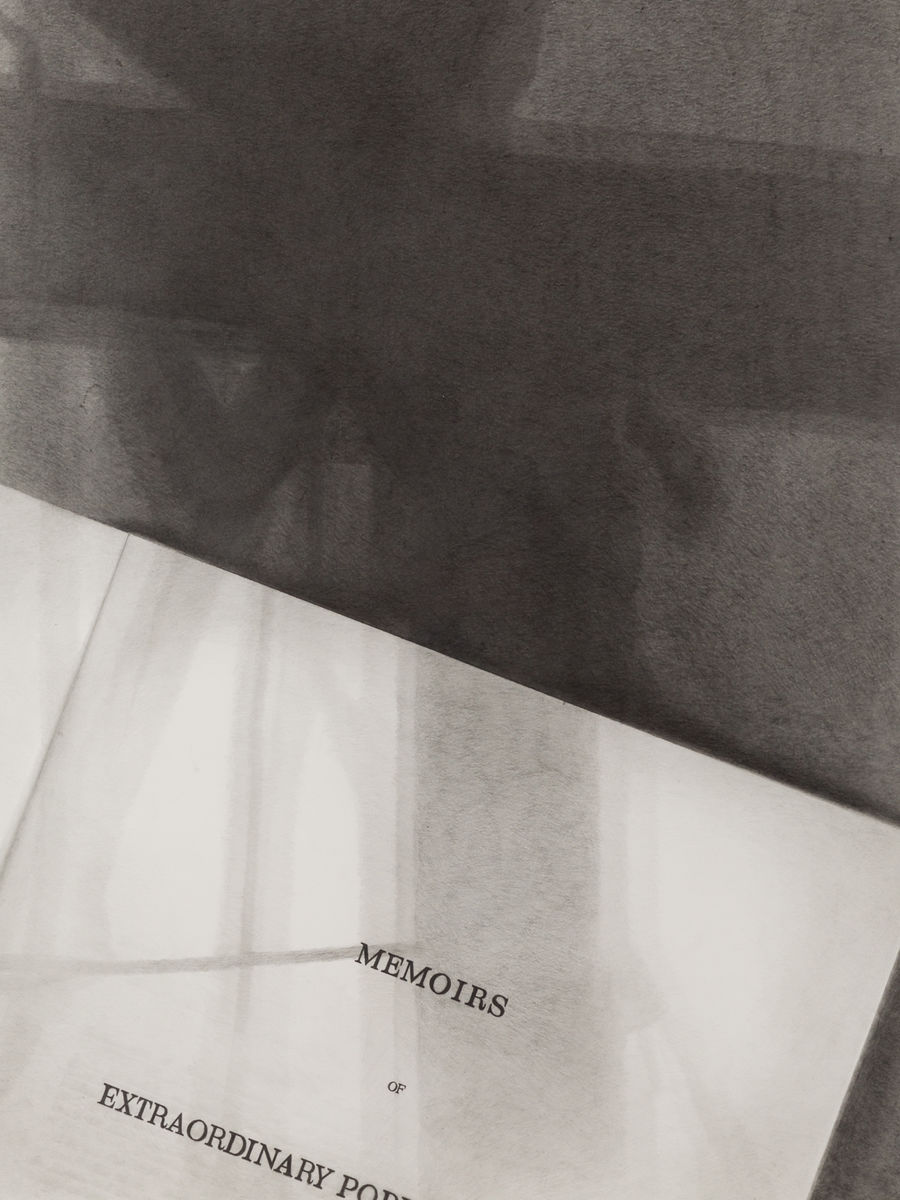 Nyeema Morgan; Like It Is: Memoirs of Extraordinary Popular Delusions; 2021