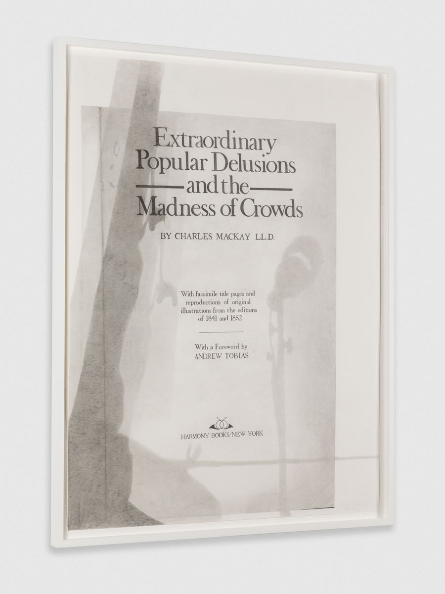 Nyeema Morgan; Like It Is: Extraordinary Popular Delusions and the Madness of Crowds, No. 2; 2016