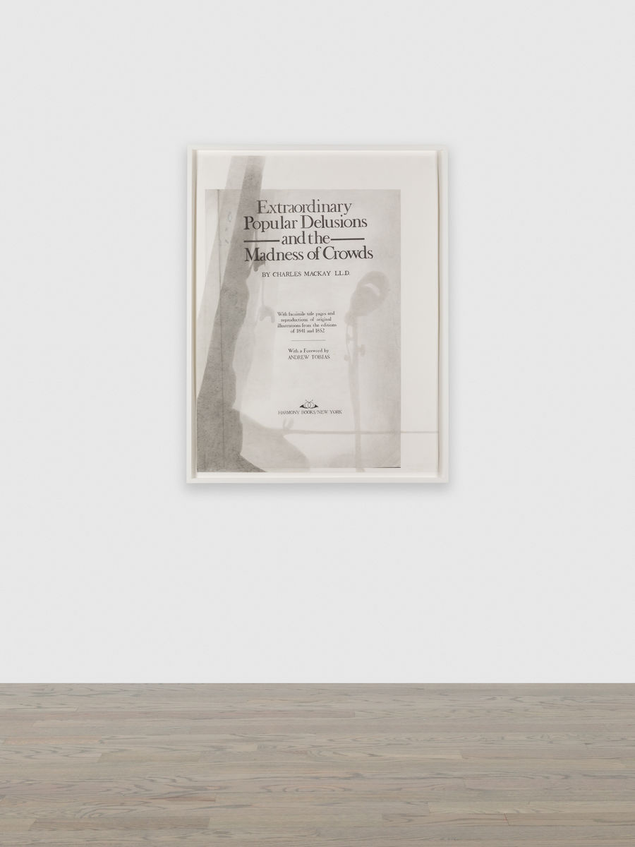 Nyeema Morgan; Like It Is: Extraordinary Popular Delusions and the Madness of Crowds, No. 2; 2016
