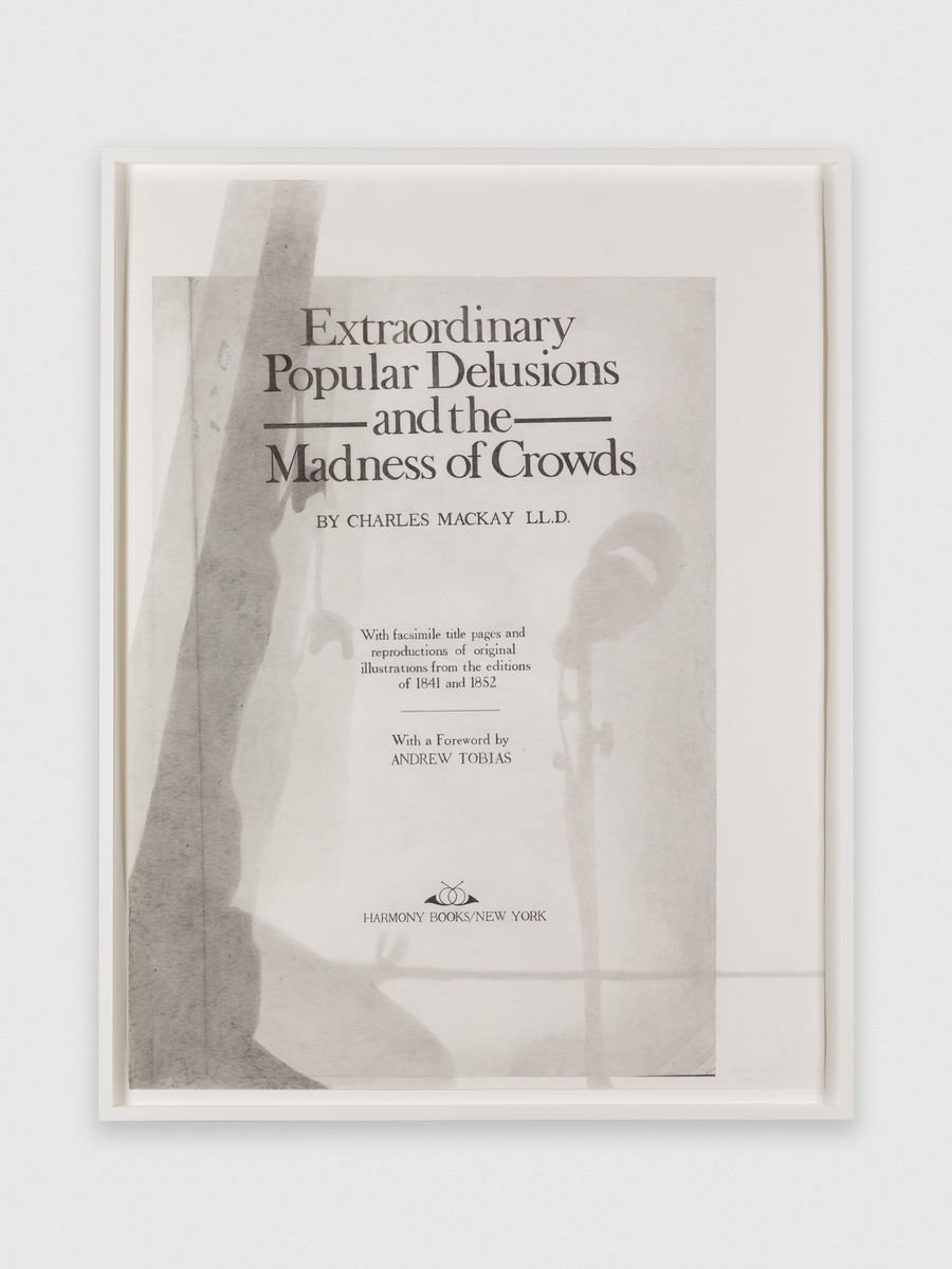 Nyeema Morgan; Like It Is: Extraordinary Popular Delusions and the Madness of Crowds, No. 2; 2016