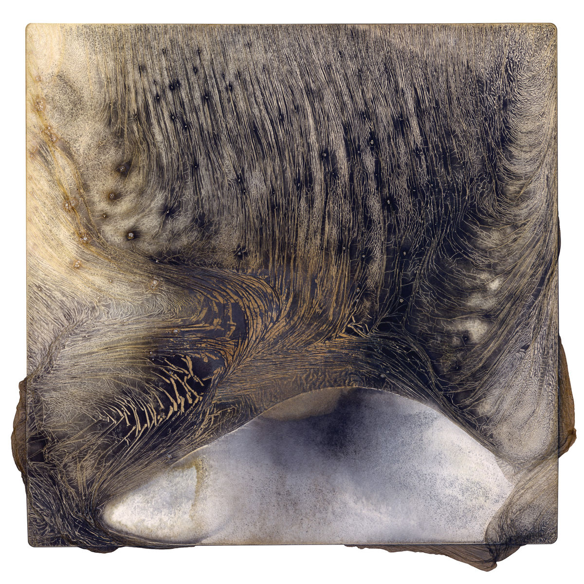 Brittany Nelson; Mordancage 2; 