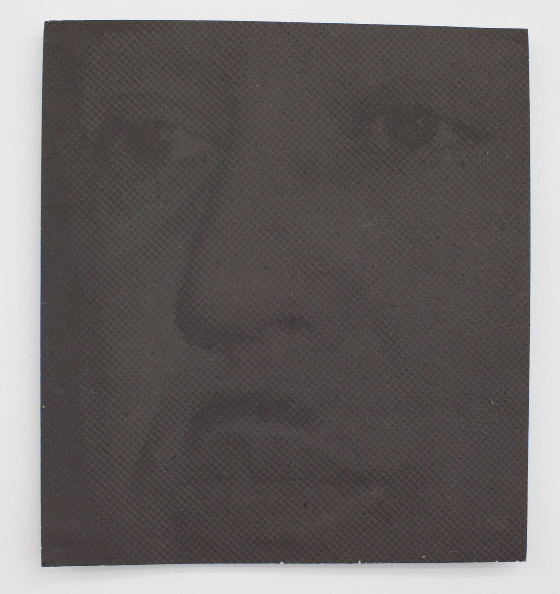 Samuel Levi Jones; 48 Portraits (Underexposed); 2012
