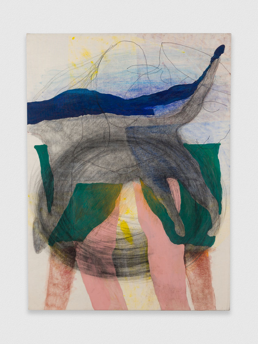 Kaveri  Raina; Tangle to Hover; 2019