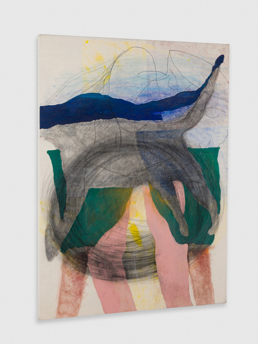 Kaveri  Raina; Tangle to Hover; 2019