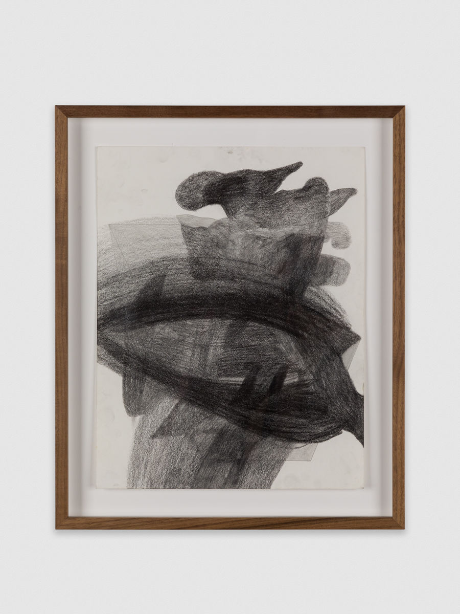 Kaveri  Raina; Untitled (To Hover Series); 2022