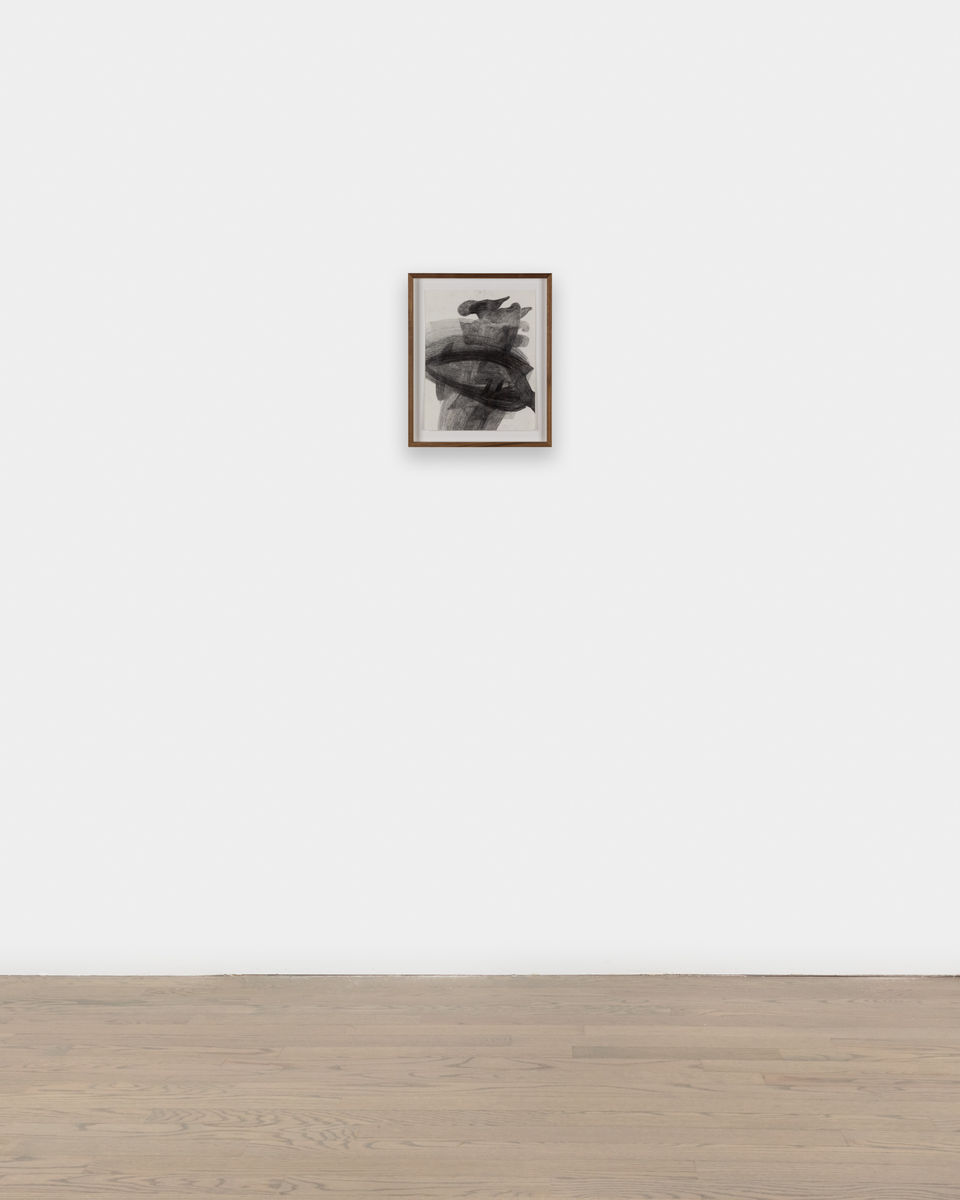 Kaveri  Raina; Untitled (To Hover Series); 2022