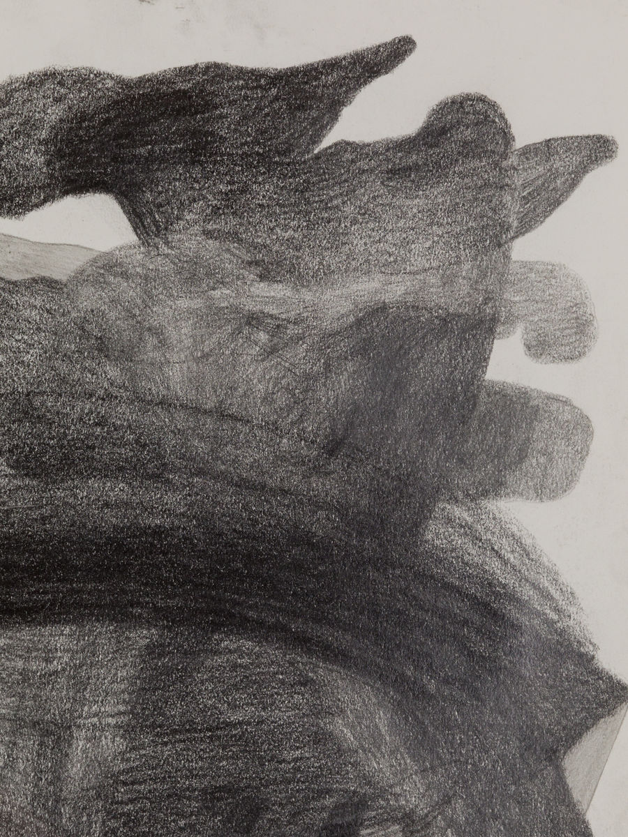 Kaveri  Raina; Untitled (To Hover Series); 2022