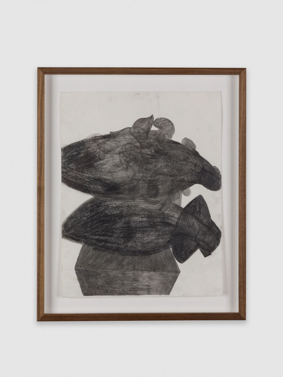 Kaveri  Raina; Untitled (To Hover Series); 2020