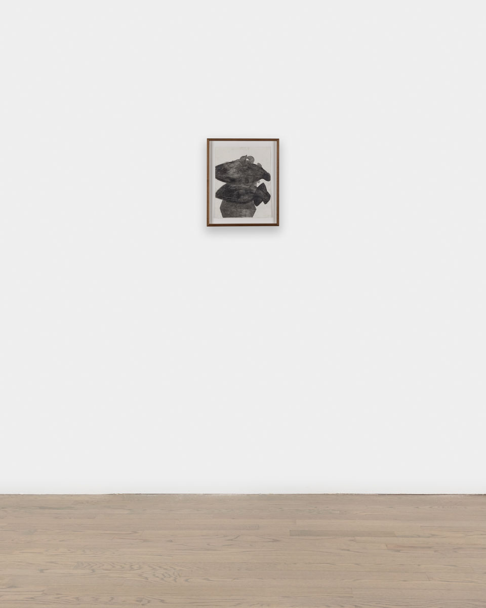 Kaveri  Raina; Untitled (To Hover Series); 2020