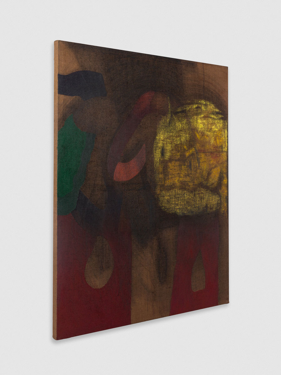 Kaveri  Raina; To Perceive is to Suffer; Revisited; 2021-2022