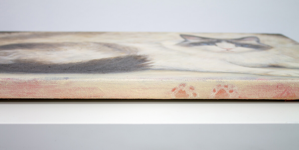 Ryosuke Kumakura; Cat; 2019
