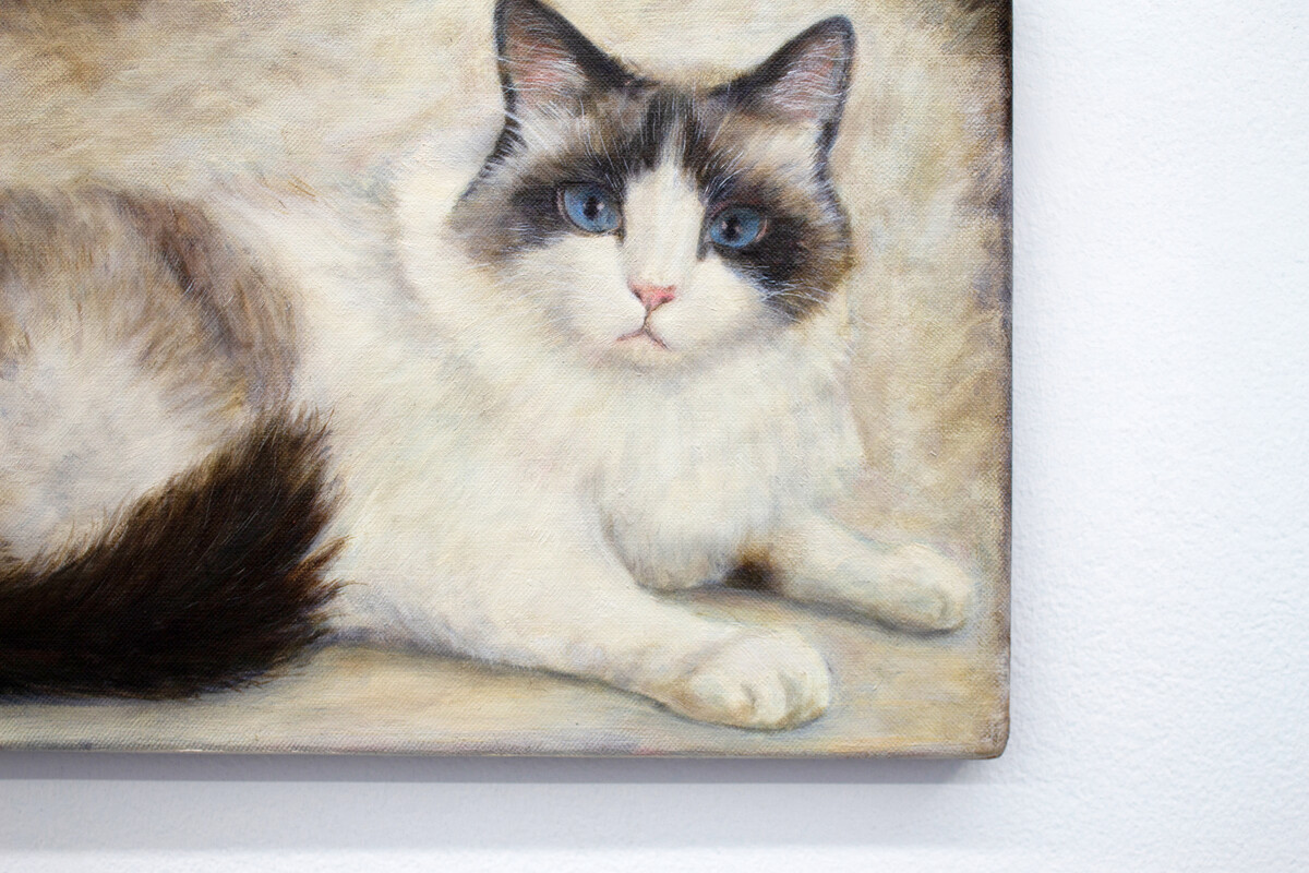 Ryosuke Kumakura; Cat; 2019