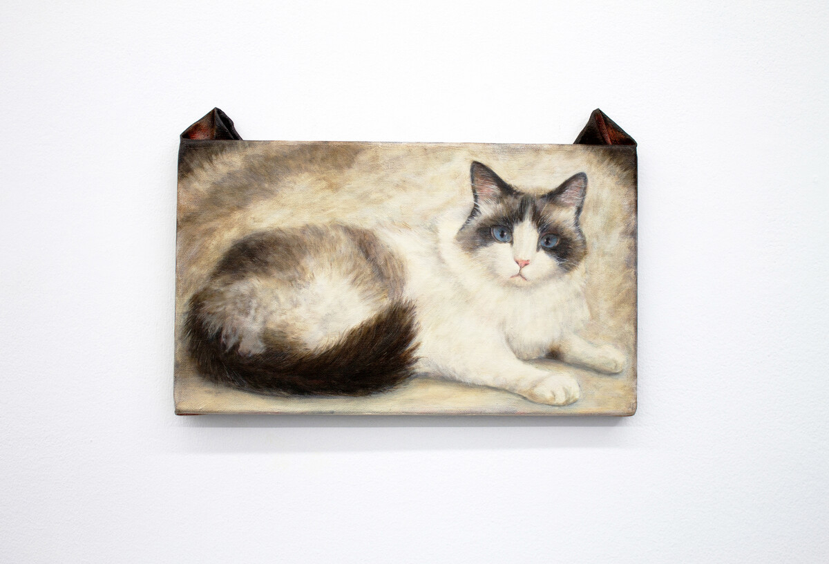 Ryosuke Kumakura; Cat; 2019