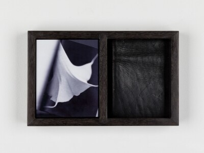 Alex Chitty; The Bells Peel; 2022