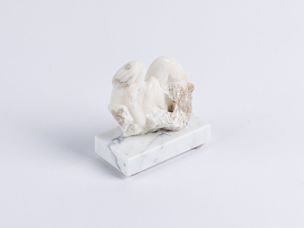 Kay Hofmann; What a Nice Rock; 2022