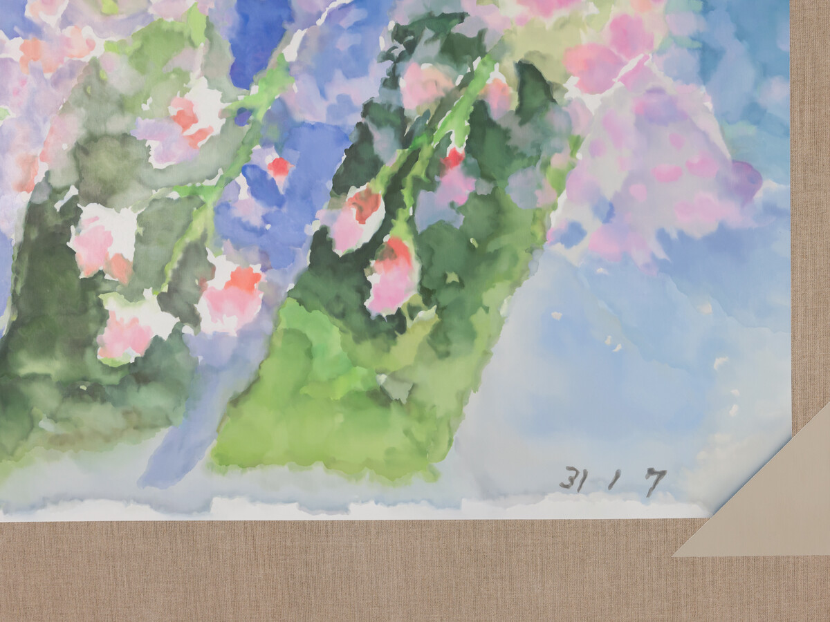 Mika Horibuchi; Watercolor of Weeping Cherry Branches; 2023