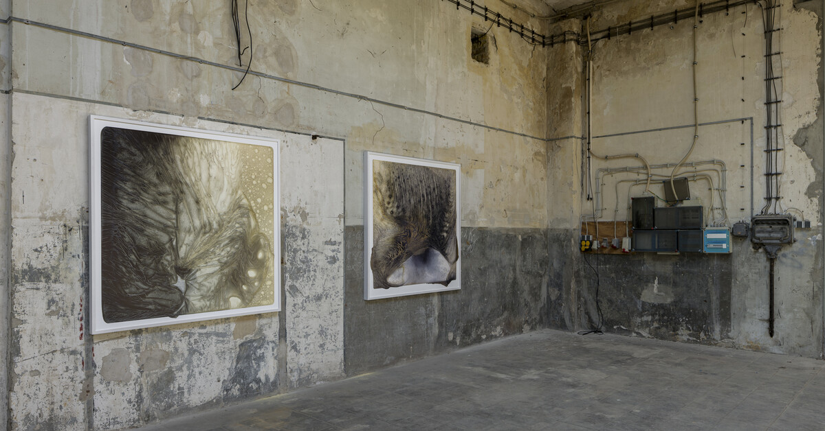 Genius Loci : Notes on Places