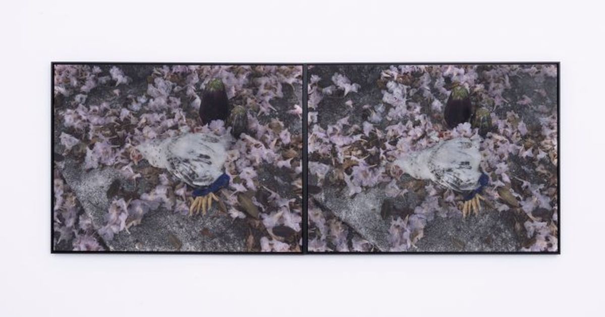 ICA exhibit explores texture, movement and family