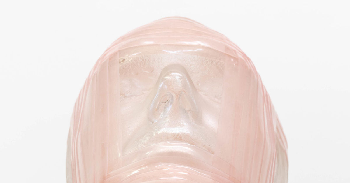 EVERYWHERE AND HERE: Artists Respond to the Yale Peabody Museum of Natural History Collection
