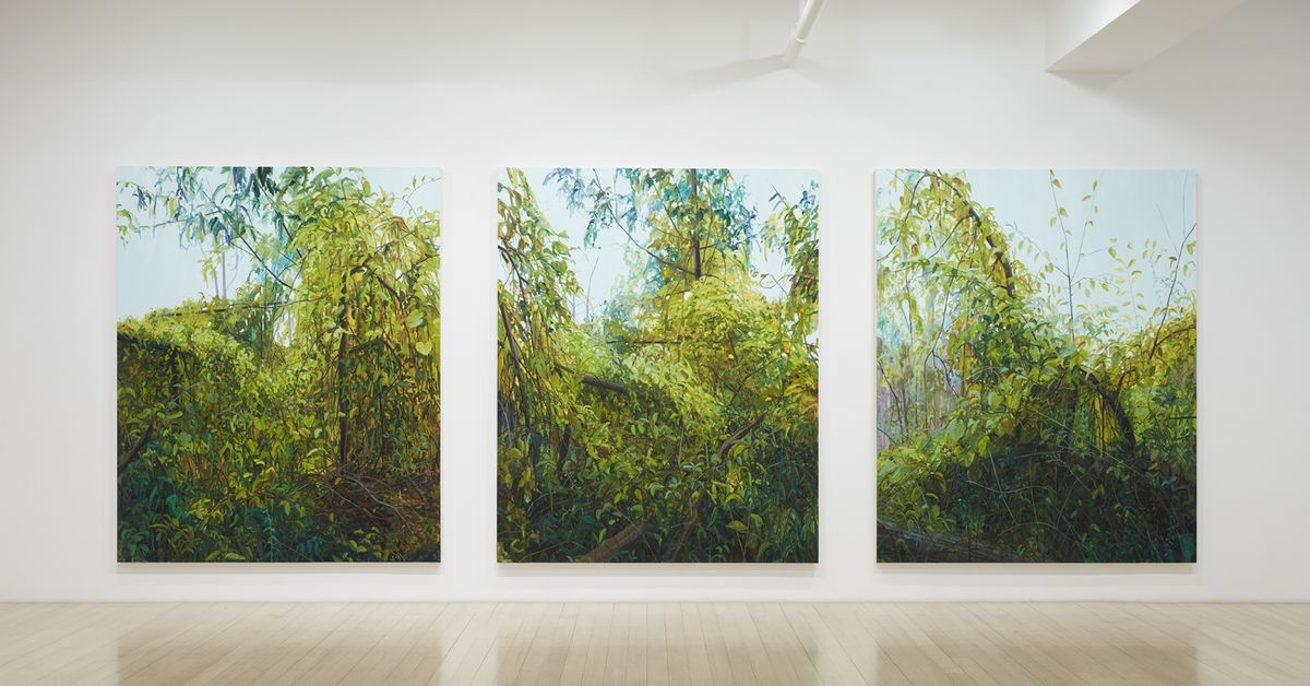 Claire Sherman: Intuor